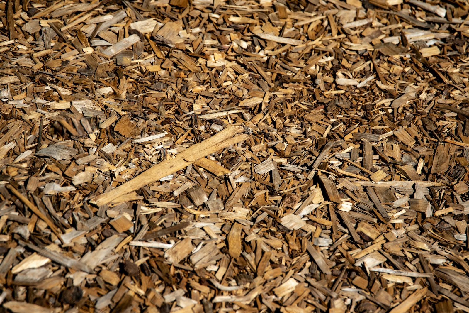Fresh hardwood bark mulch in a garden bed