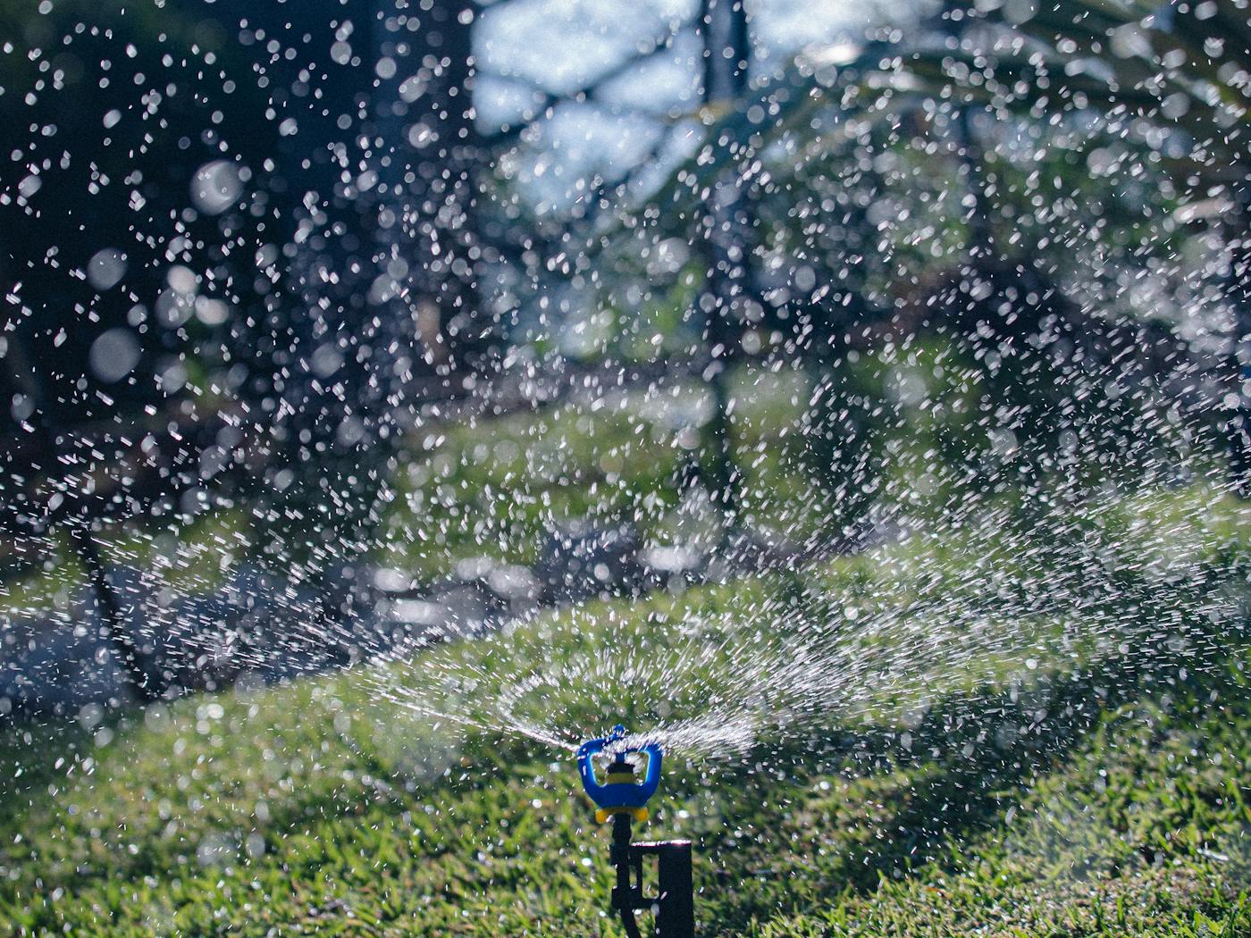 Lawn sprinkler watering a green Tennessee Valley yard